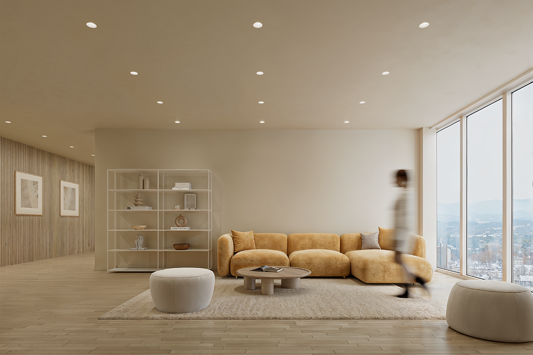 LIVV 2.5” DOWNLIGHT